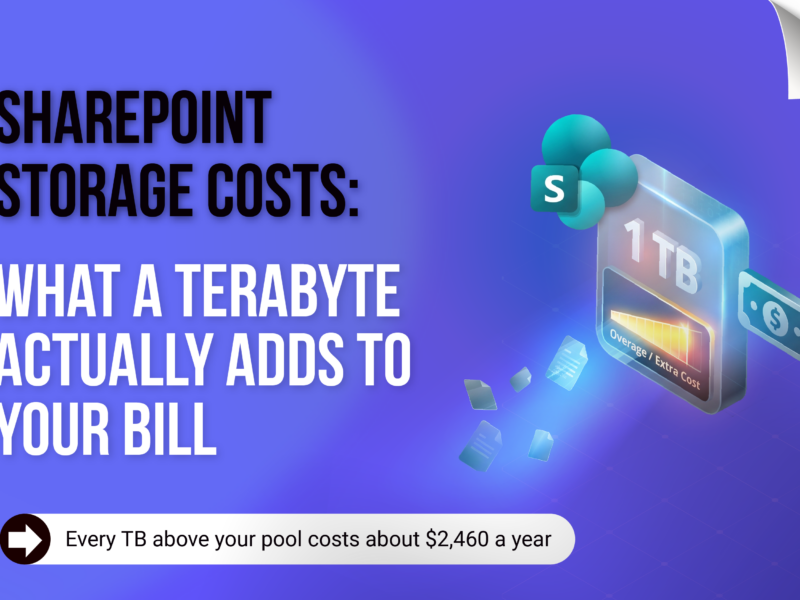 SharePoint Storage Costs: What a Terabyte Actually Adds to Your Bill Infographic breaking down SharePoint storage costs per gigabyte.